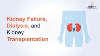 Kidney Failure,
Dialysis, and
Kidney
Transplantation
 