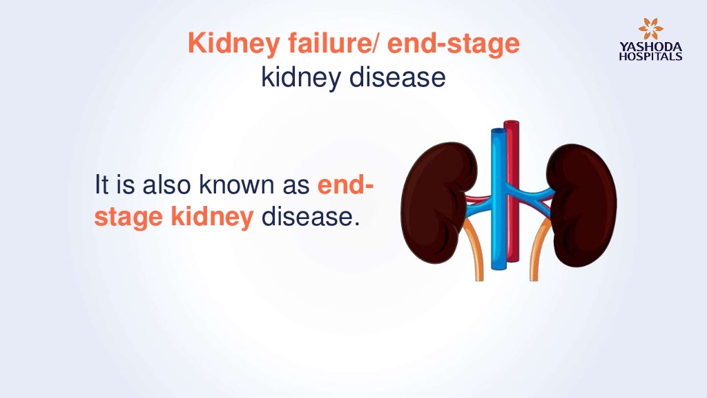 Kidney Failure Treatment in Hyderabad | Kidney Transplant Hospital in…