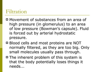 Filtration Movement of substances from an area of high pressure (in glomerulus) to an area of low pressure (Bowman’s capsule). Fluid is forced out by arterial hydrostatic pressure.  Blood cells and most proteins are NOT normally filtered, as they are too big. Only small molecules usually pass through. The inherent problem of this system is that the body potentially loses things it needs... 