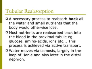 Tubular Reabsorption A necessary process to reabsorb  back  all the water and small nutrients that the body would otherwise lose. Most nutrients are reabsorbed back into the blood in the proximal tubule eg. glucose, amino-acids, ions etc... This process is achieved via active transport.  Water moves via osmosis, largely in the loop of Henle and also later in the distal nephron. 