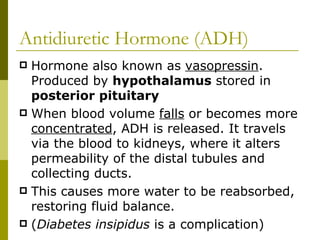 Antidiuretic Hormone (ADH) Hormone also known as  vasopressin . Produced by  hypothalamus  stored in  posterior pituitary When blood volume  falls  or becomes more  concentrated , ADH is released. It travels via the blood to kidneys, where it alters permeability of the distal tubules and collecting ducts.  This causes more water to be reabsorbed, restoring fluid balance.  ( Diabetes insipidus  is a complication)  