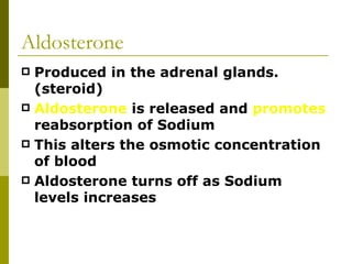Aldosterone Produced in the adrenal glands.(steroid) Aldosterone  is released and  promotes  reabsorption of Sodium This alters the osmotic concentration of blood  Aldosterone turns off as Sodium levels increases  
