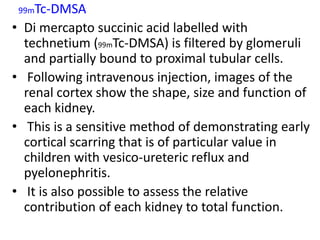 99mTc-DMSA

• Di mercapto succinic acid labelled with
  technetium (99mTc-DMSA) is filtered by glomeruli
  and partially bound to proximal tubular cells.
• Following intravenous injection, images of the
  renal cortex show the shape, size and function of
  each kidney.
• This is a sensitive method of demonstrating early
  cortical scarring that is of particular value in
  children with vesico-ureteric reflux and
  pyelonephritis.
• It is also possible to assess the relative
  contribution of each kidney to total function.
 