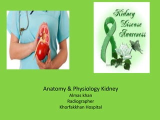 Anatomy & Physiology Kidney
Almas khan
Radiographer
Khorfakkhan Hospital

 