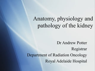 Anatomy, physiology and
    pathology of the kidney

                Dr Andrew Potter
                        Registrar
Department of Radiation Oncology
         Royal Adelaide Hospital
 