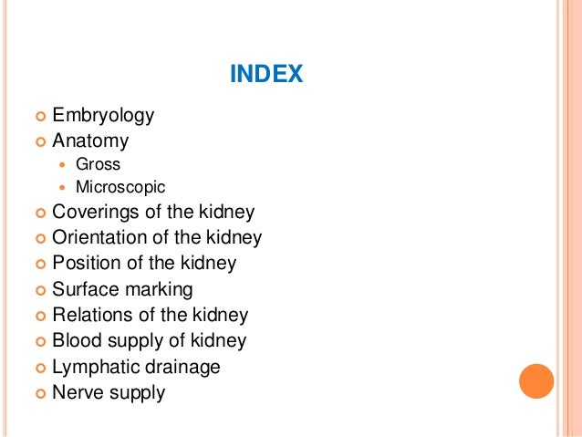 surgical anatomy of kidney and ureter