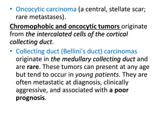 • Oncocytic carcinoma (a central, stellate scar;
rare metastases).
Chromophobic and oncocytic tumors originate
from the intercalated cells of the cortical
collecting duct.
• Collecting duct (Bellini's duct) carcinomas
originate in the medullary collecting duct and
are rare. These tumors can present at any age
but tend to occur in young patients. They are
often metastatic at diagnosis, clinically
aggressive, and associated with a poor
prognosis.
 
