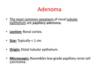 Adenoma
• The most common neoplasm of renal tubular
epithelium are papillary adenoma.
• Loction: Renal cortex.
• Size: Typically < 1 cm.
• Origin: Distal tubular epthelium.
• Microscopic: Resembles low-grade papillary renal cell
carcinoma.
 