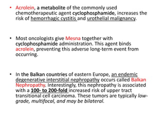 • Acrolein, a metabolite of the commonly used
chemotherapeutic agent cyclophosphamide, increases the
risk of hemorrhagic cystitis and urothelial malignancy.
• Most oncologists give Mesna together with
cyclophosphamide administration. This agent binds
acrolein, preventing this adverse long-term event from
occurring.
• In the Balkan countries of eastern Europe, an endemic
degenerative interstitial nephropathy occurs called Balkan
Nephropathy. Interestingly, this nephropathy is associated
with a 100- to 200-fold increased risk of upper tract
transitional cell carcinoma. These tumors are typically low-
grade, multifocal, and may be bilateral.
 