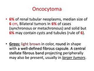 Oncocytoma
• 6% of renal tubular neoplasms, median size of
6 cm, Bilateral tumors in 6% of cases
(synchronous or metachronous) and solid but
6% may contain cysts and tubules (rule of 6).
• Gross: light brown in color, round in shape
with a well-defined fibrous capsule. A central
stellate fibrous band projecting peripherally
may also be present, usually in larger tumors.
 