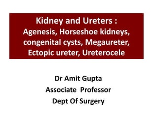 Kidney and Ureters :
Agenesis, Horseshoe kidneys,
congenital cysts, Megaureter,
Ectopic ureter, Ureterocele
Dr Amit Gupta
Associate Professor
Dept Of Surgery
 