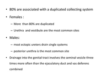 • 80% are associated with a duplicated collecting system
• Females :
– More than 80% are duplicated
– Urethra and vestibule are the most common sites
• Males:
– most ectopic ureters drain single systems
– posterior urethra is the most common site
• Drainage into the genital tract involves the seminal vesicle three
times more often than the ejaculatory duct and vas deferens
combined
 