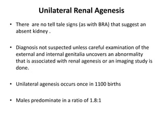 Unilateral Renal Agenesis
• There are no tell tale signs (as with BRA) that suggest an
absent kidney .
• Diagnosis not suspected unless careful examination of the
external and internal genitalia uncovers an abnormality
that is associated with renal agenesis or an imaging study is
done.
• Unilateral agenesis occurs once in 1100 births
• Males predominate in a ratio of 1.8:1
 