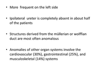 • More frequent on the left side
• Ipsilateral ureter is completely absent in about half
of the patients
• Structures derived from the müllerian or wolffian
duct are most often anomalous
• Anomalies of other organ systems involve the
cardiovascular (30%), gastrointestinal (25%), and
musculoskeletal (14%) systems
 