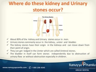 Where do these kidney and Urinary
stones occur?
 About 80% of the kidney and Urinary stones occur in men.
 Urinary stones commonly occur in the kidney , ureter and bladder.
 The kidney stones have their origin in the kidneys and can move down from
their point of origin.
 They can get lodged in the Ureter which are called Ureteral stones.
 The bladder in itself can form stones independently due to obstruction of
urinary flow or without obstruction especially in children.
 