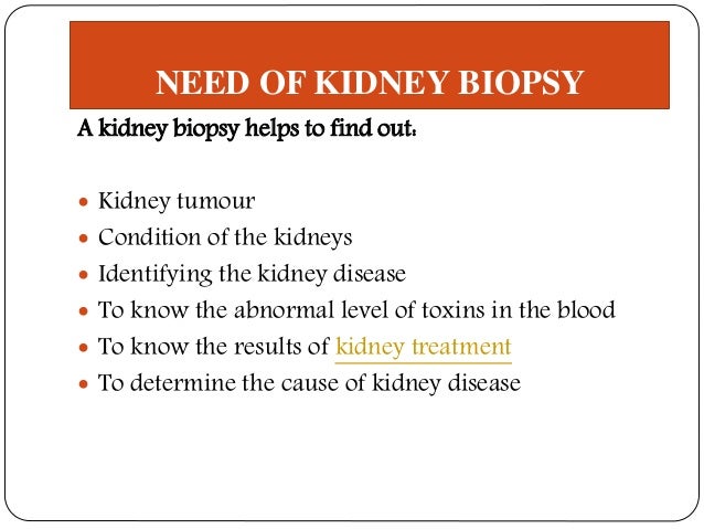 Kidney Biopsy Need Preparation Results And Risks