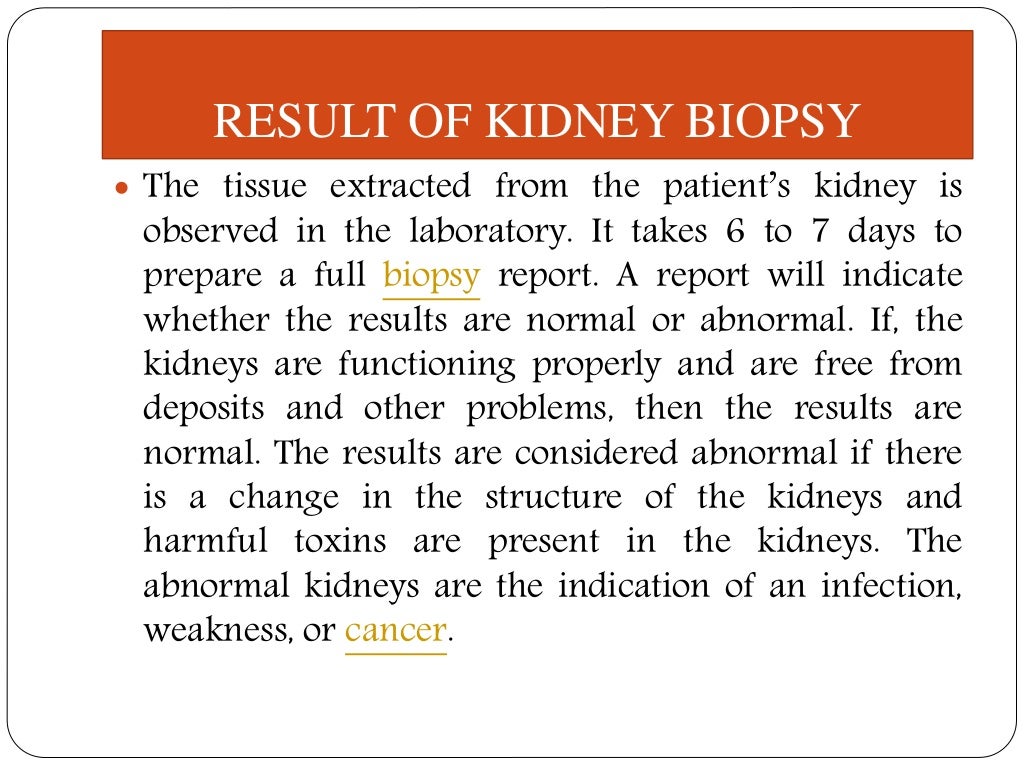 Kidney Biopsy Need, Preparation, Results and Risks