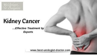 Kidney Cancer
www.best-urologist-doctor.com
....Effective Treatment by
Experts
 