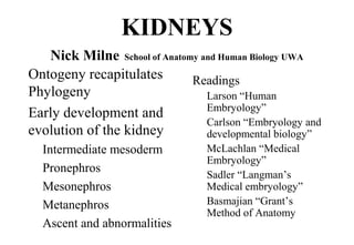 KIDNEYS
Nick Milne School of Anatomy and Human Biology UWA
Ontogeny recapitulates
Phylogeny
Early development and
evolution of the kidney
Intermediate mesoderm
Pronephros
Mesonephros
Metanephros
Ascent and abnormalities
Readings
Larson “Human
Embryology”
Carlson “Embryology and
developmental biology”
McLachlan “Medical
Embryology”
Sadler “Langman’s
Medical embryology”
Basmajian “Grant’s
Method of Anatomy
 