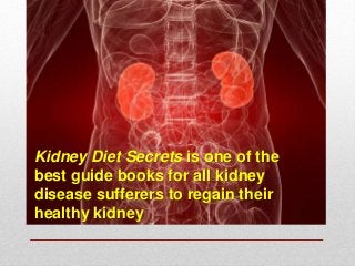 Kidney Diet Secrets is one of the
best guide books for all kidney
disease sufferers to regain their
healthy kidney

 