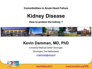 Comorbidities in Acute Heart Failure
Kidney Disease
How to protect the kidney ?
Kevin Damman, MD, PhD
University Medical Center Groningen
Groningen, The Netherlands
k.damman@umcg.nl
 