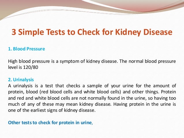 kidney failure worksheet hca 240 Hca 240 week 3 dq 1 imagine that your cousin kristin has smoked nearly a pack a day for about 5 hca 240 week 6 appendix d kidney failure all questions answered a :. kidney failure worksheet hca 240 Hca 240 week 3 dq 1 imagine that your cousin kristin has smoked nearly a pack a day for about 5 hca 240 week 6 appendix d kidney failure all questions answered a :.