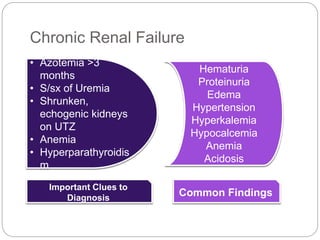 Kidney diseases and diuretics | PPTX