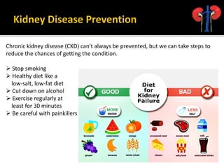 Awareness and Prevention for Kidney diseases | PDF