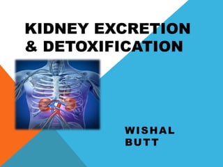 KIDNEY EXCRETION
& DETOXIFICATION
WISHAL
BUTT
 