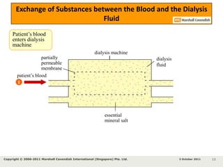 arterydialysis tubingdialysisfluidfresh dialysisfluiddialysismachineHow Is Blood Cleaned in a Dialysis Machine?1Blood is drawn from an artery in the patient’s armBlood is pumped through a tubing to the dialysis machine122The tubing is bathed in a special dialysis fluid and the tubing is semi-permeable34pumpSmall molecules (e.g. urea) and metabolic waste products diffuse out of the tubing433 October 2011Copyright © 2006-2011 Marshall Cavendish International (Singapore) Pte. Ltd. 10