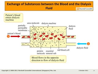 arterydialysis tubingdialysisfluidfresh dialysisfluiddialysismachineHow Is Blood Cleaned in a Dialysis Machine?1Blood is drawn from an artery in the patient’s armBlood is pumped through a tubing to the dialysis machine122The tubing is bathed in a special dialysis fluid and the tubing is semi-permeable34pump5Larger molecules (e.g. plates and blood cells) remain in the tubingSmall molecules (e.g. urea) and metabolic waste products diffuse out of the tubing5433 October 2011Copyright © 2006-2011 Marshall Cavendish International (Singapore) Pte. Ltd. 11