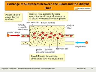 arteryveindialysis tubingdialysisfluidfilteredbloodfresh dialysisfluiddialysismachineHow Is Blood Cleaned in a Dialysis Machine?1Blood is drawn from an artery in the patient’s armBlood is pumped through a tubing to the dialysis machine1262The filtered blood is returned to a vein in the patient’s armThe tubing is bathed in a special dialysis fluid and the tubing is semi-permeable634pump5Larger molecules (e.g. plates and blood cells) remain in the tubingSmall molecules (e.g. urea) and metabolic waste products diffuse out of the tubing5433 October 2011Copyright © 2006-2011 Marshall Cavendish International (Singapore) Pte. Ltd. 12