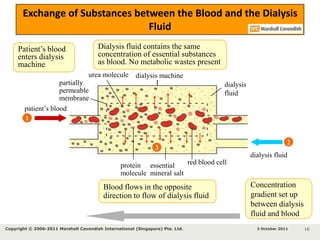 Exchange of Substances between the Blood and the Dialysis FluidPatient’s blood enters dialysis machinedialysis machinepartially permeable membranedialysis fluidpatient’s blood1essential mineral salt3 October 2011Copyright © 2006-2011 Marshall Cavendish International (Singapore) Pte. Ltd. 13