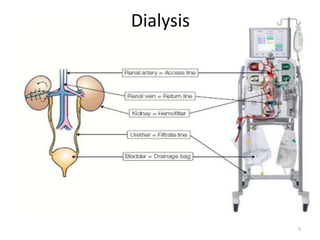 As osmoregulators: Kidney regulates salt & water balance  also indirectly control blood pressureURINE