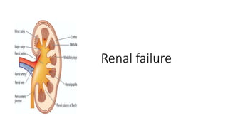 Renal failure
 