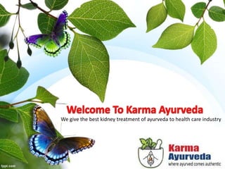 We give the best kidney treatment of ayurveda to health care industry
 
