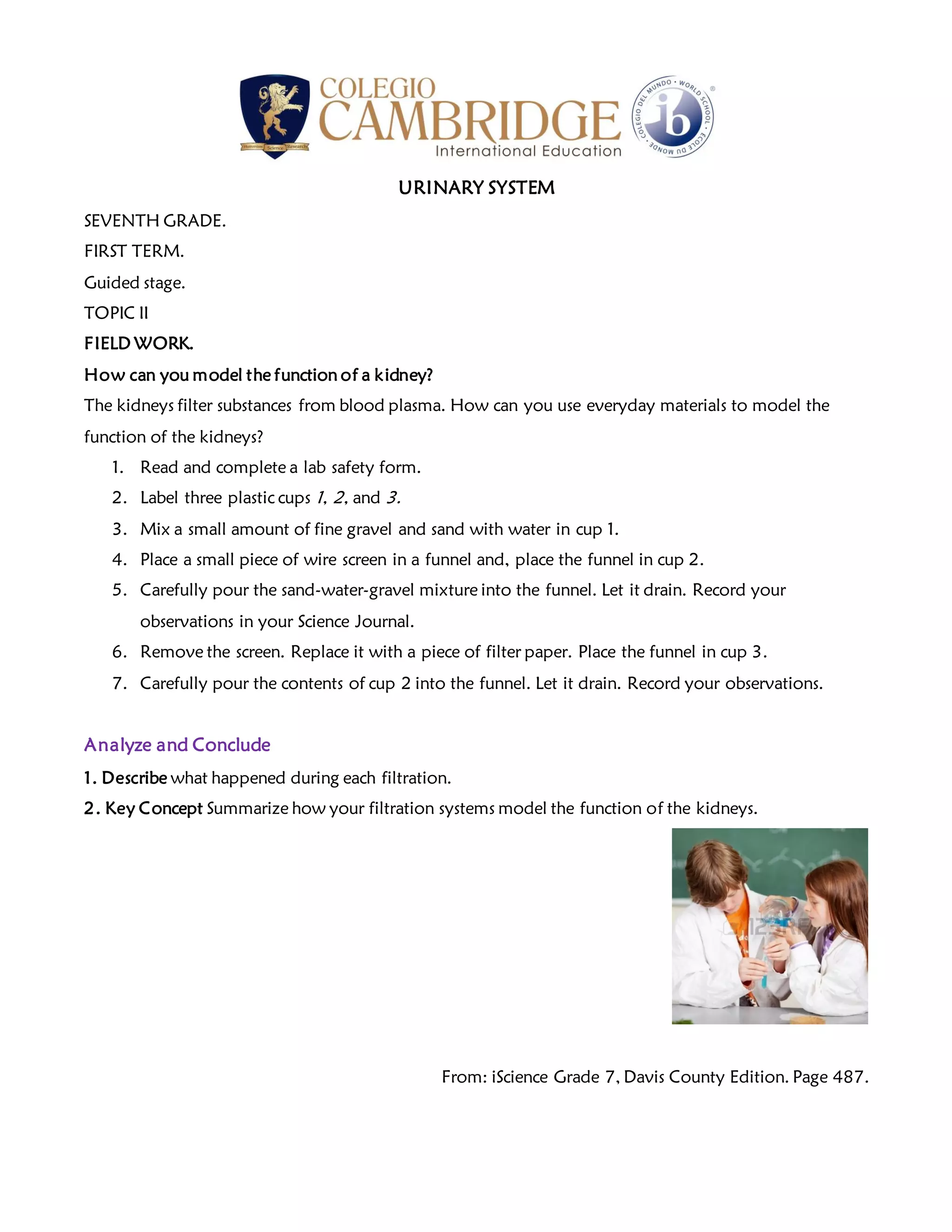 Kidney filtration model PDF