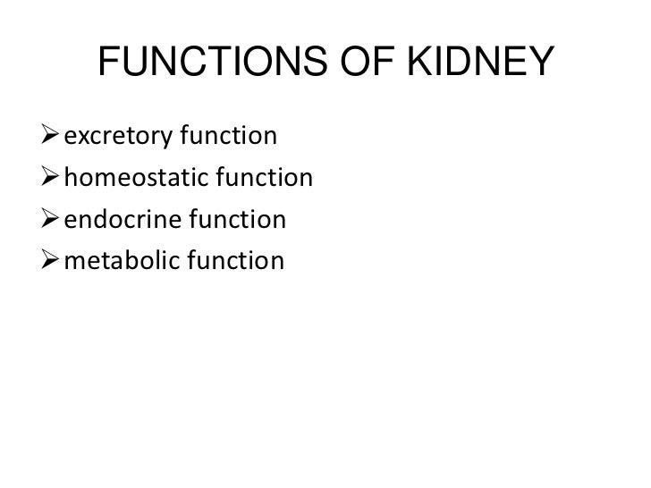 Kidney Function