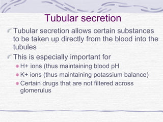 Tubular secretion Tubular secretion allows certain substances to be taken up directly from the blood into the tubules This is especially important for H+ ions (thus maintaining blood pH K+ ions (thus maintaining potassium balance) Certain drugs that are not filtered across glomerulus 