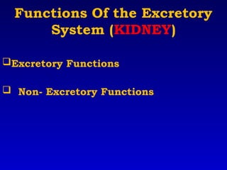 Kidney Function & Nephron.ppt jejendjddjdjdj | PPT