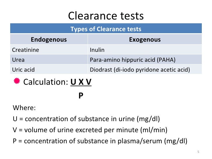Kidney function test