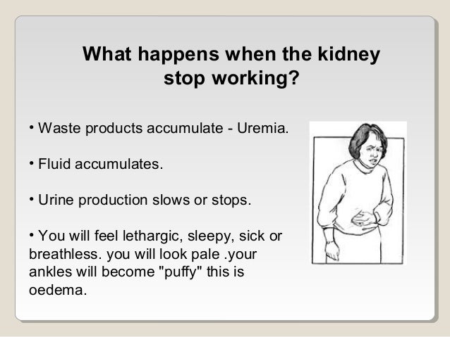 Who should have a kidney function test?