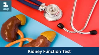 Kidney Function Test
 