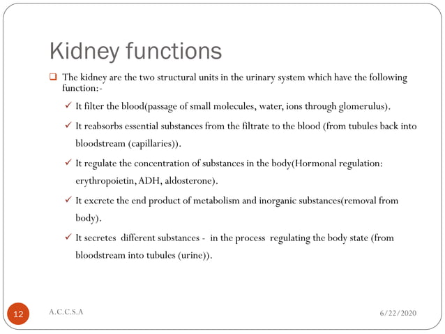 Kidney Function Test 1 Pdf