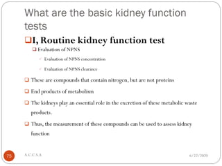 Kidney Function Test (1).pdf