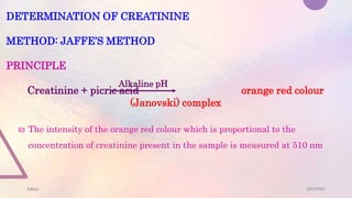 Kidney function test npn constituents clearance tests_kidney stone ...