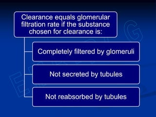 Clearance equals glomerular
filtration rate if the substance
chosen for clearance is:
Completely filtered by glomeruli
Not secreted by tubules
Not reabsorbed by tubules
 