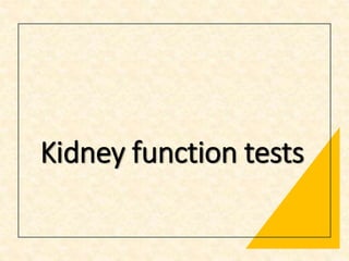 Kidney function tests
 