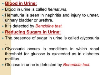  Blood in Urine:
 Blood in urine is called hematuria.
 Hematuria is seen in nephritis and injury to ureter,
urinary bladder or urethra.
 It is detected by Benzidine test.
 Reducing Sugars in Urine:
 The presence of sugar in urine is called glycosuria
.
 Glycosuria occurs in conditions in which renal
threshold for glucose is exceeded as in diabetes
mellitus.
 Glucose in urine is detected by Benedicts test.
 