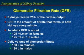 Interpretation of Kidney Function
Glomerular Filtration Rate (GFR)
Kidneys receive 25% of the cardiac output
GFR = the amount of filtrate that forms in both
kidneys every minute.
In adults GFR is about :
 105 ml.min-1
in females
 125 ml.mi-1
in males
Daily volume of glomerular filtrate
 150 L in females
 180 L in males
 